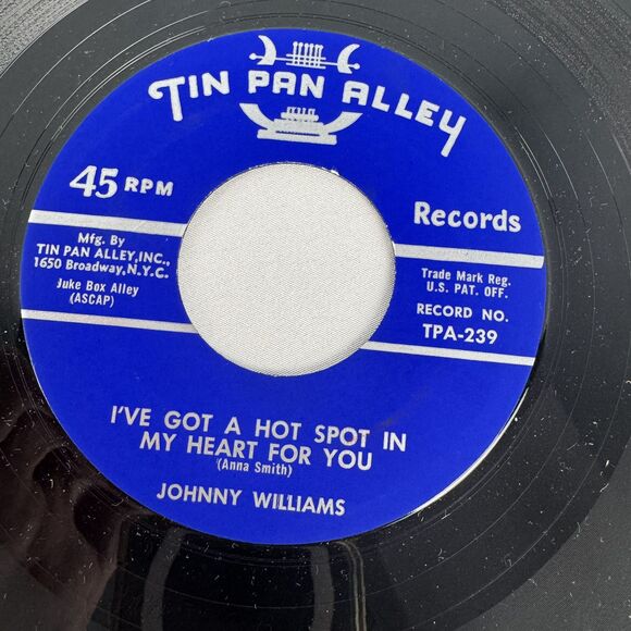 Johnny Williams Tin Pan Alley Rare 1959 Pop 45 Vinyl Near Mint NM I’ve Got A Hot - Picture 6 of 6